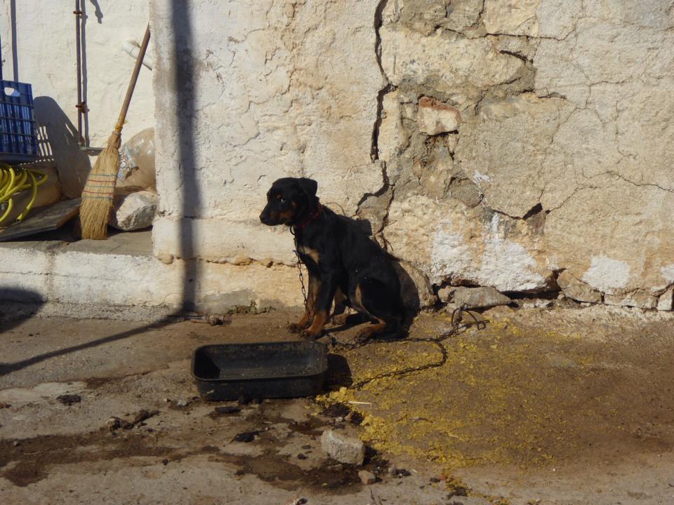 KritsaRethymnouKritis (2)